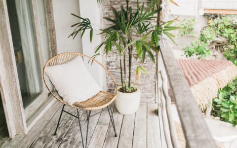 Couleurs tendances du printemps 2026 : inspirez votre intérieur avec style